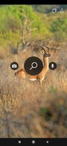 Fond d'écran Bing : Aller dans les options en haut à droite