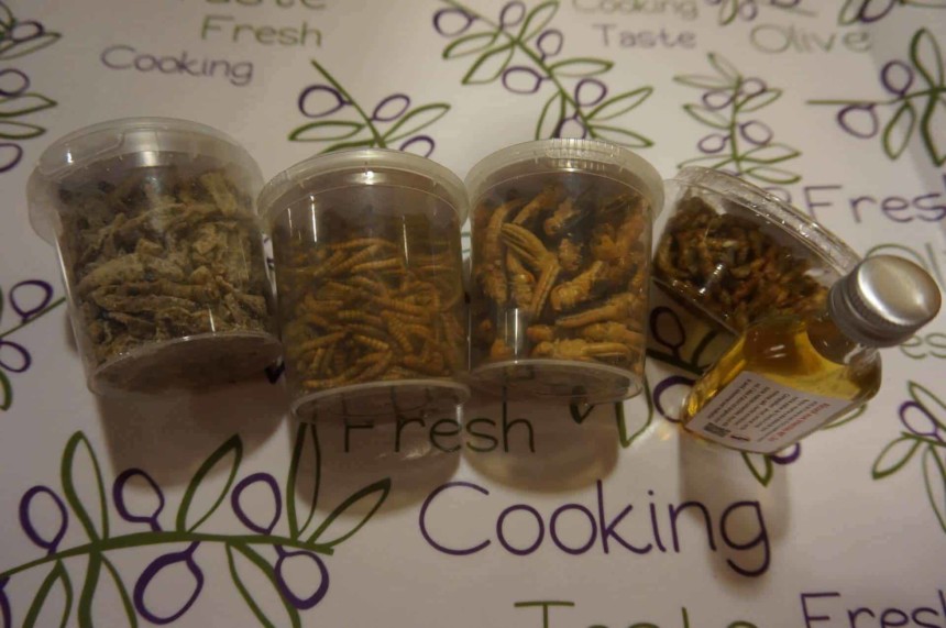 Manger des insectes - les petits pots reçus de la boutique insolite