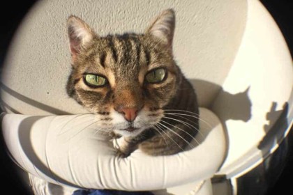 Olixar kit lentilles - effet fish-eye 2