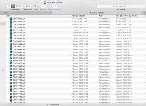 OSX El Capitan - Solution aux Bugs - Allez, on sauvegarde ses petites vidéos de vacances...