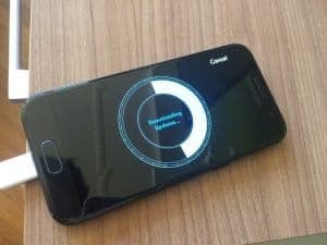 Premier apprentissage, la patience jeune Palawan !