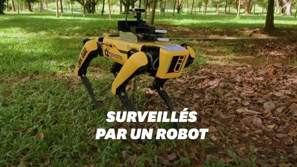 Robot Dog Spot - dérives