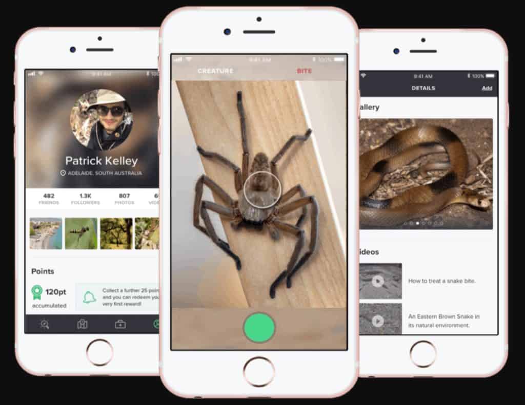 Application critterpedia espèces animales dangereuses Australie