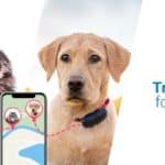 tracker gps de tractive - cover