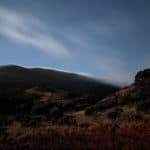 La qualité photo du Google Pixel 5