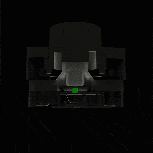 Les boutons Mech-tactiles de la Razer Wolverine V2