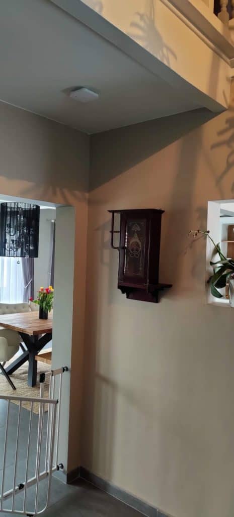 Le détecteur incendie principale de la maison dans le hall d'entrée est capable de détecteur la fumée, le monoxyde de carbone ou les changements de températures importants