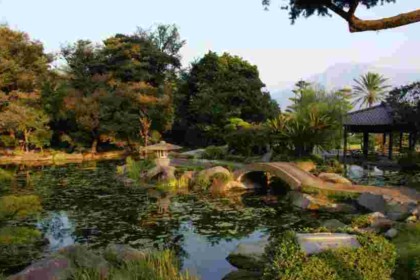 Fonds d'écran pour Smartphone