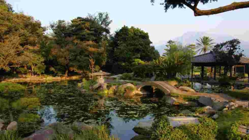 Fonds d'écran pour Smartphone