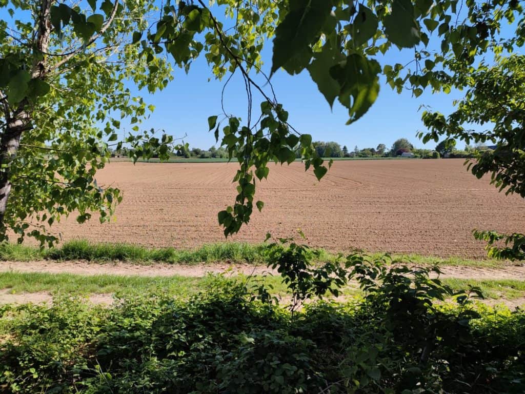 Xiaomi Mi11i Photo panoramique