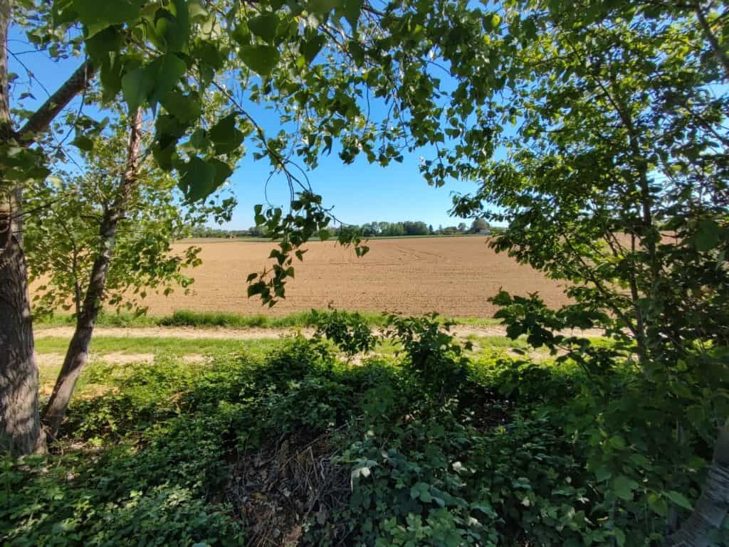 Xiaomi Mi11i Photo panoramique zoom x 0.6