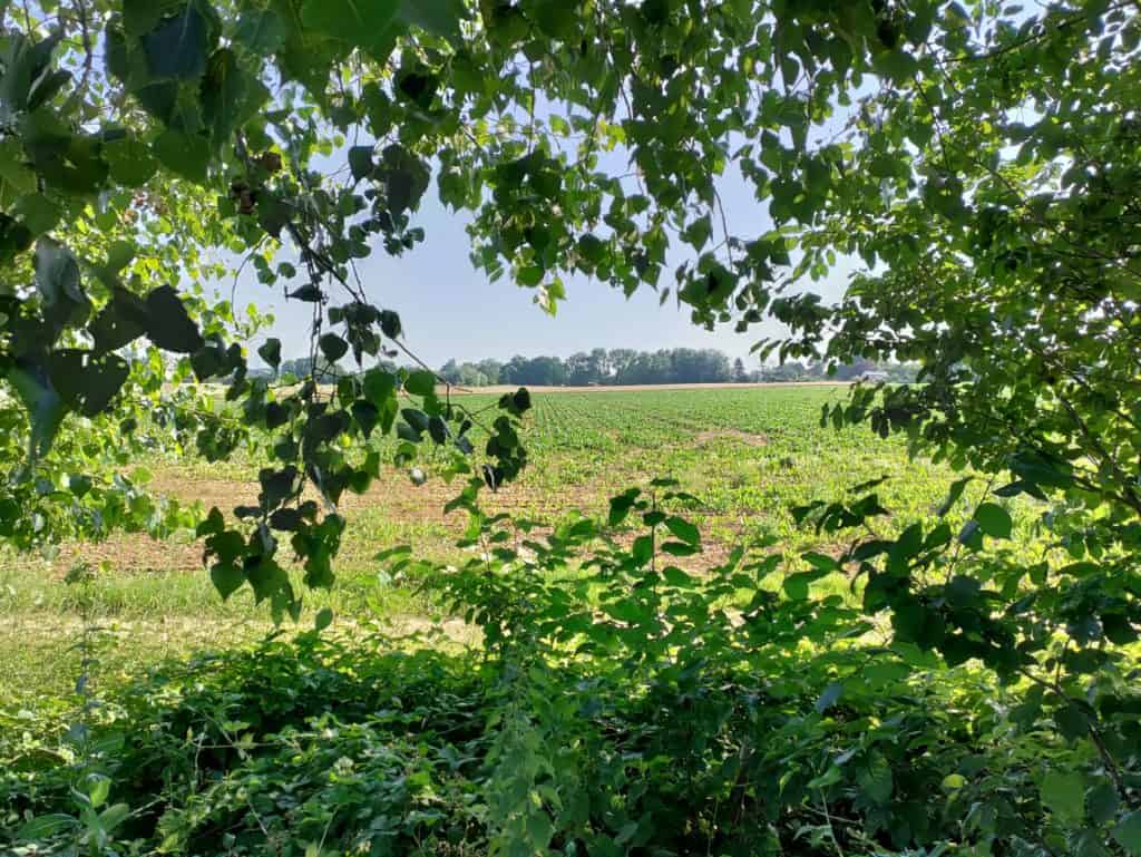 Le paysage en zoom x3