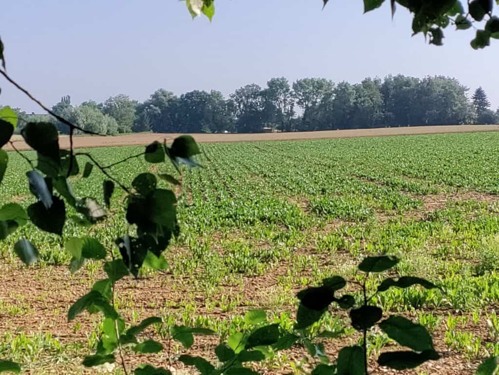 Le paysage derrière chez moi