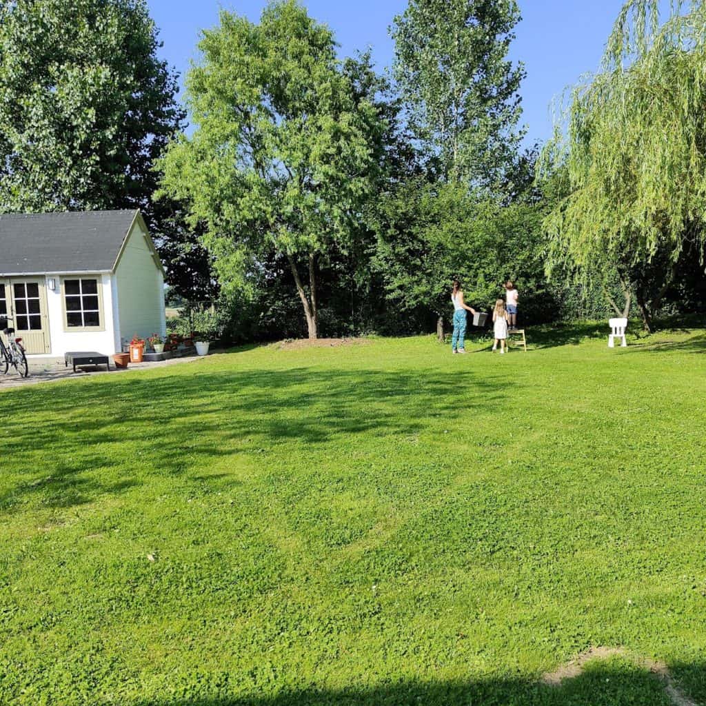 Le système passe de manière aléatoire dans votre pelouse et c'est un peu déroutant au départ.