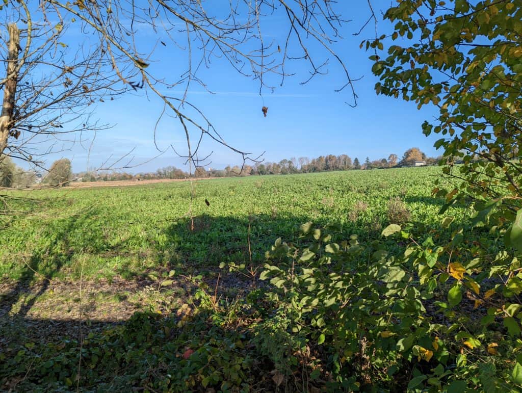 Test photo du Pixel 6 - La vue des champs