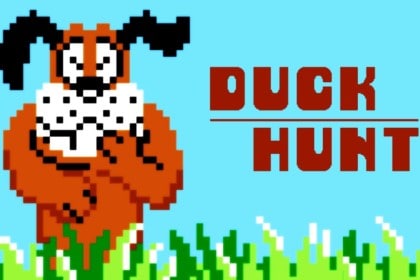 duck hunt chien