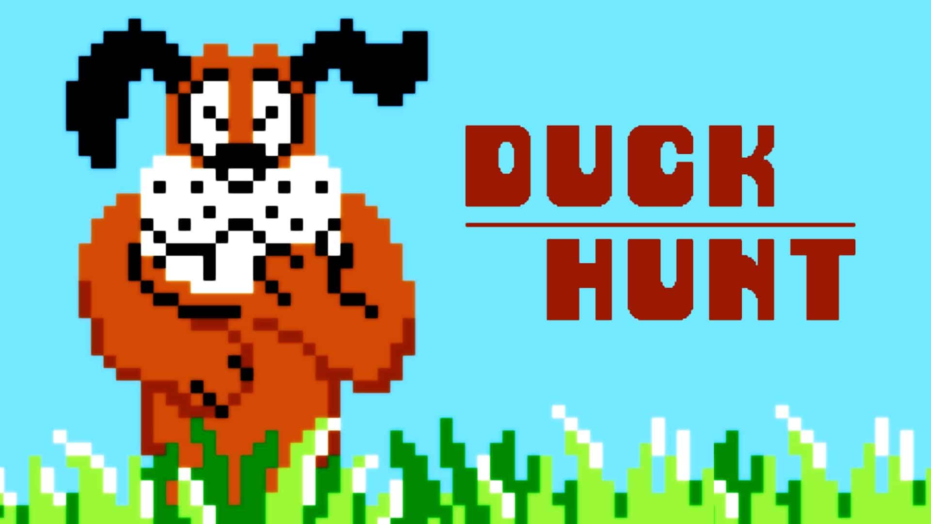 duck hunt chien