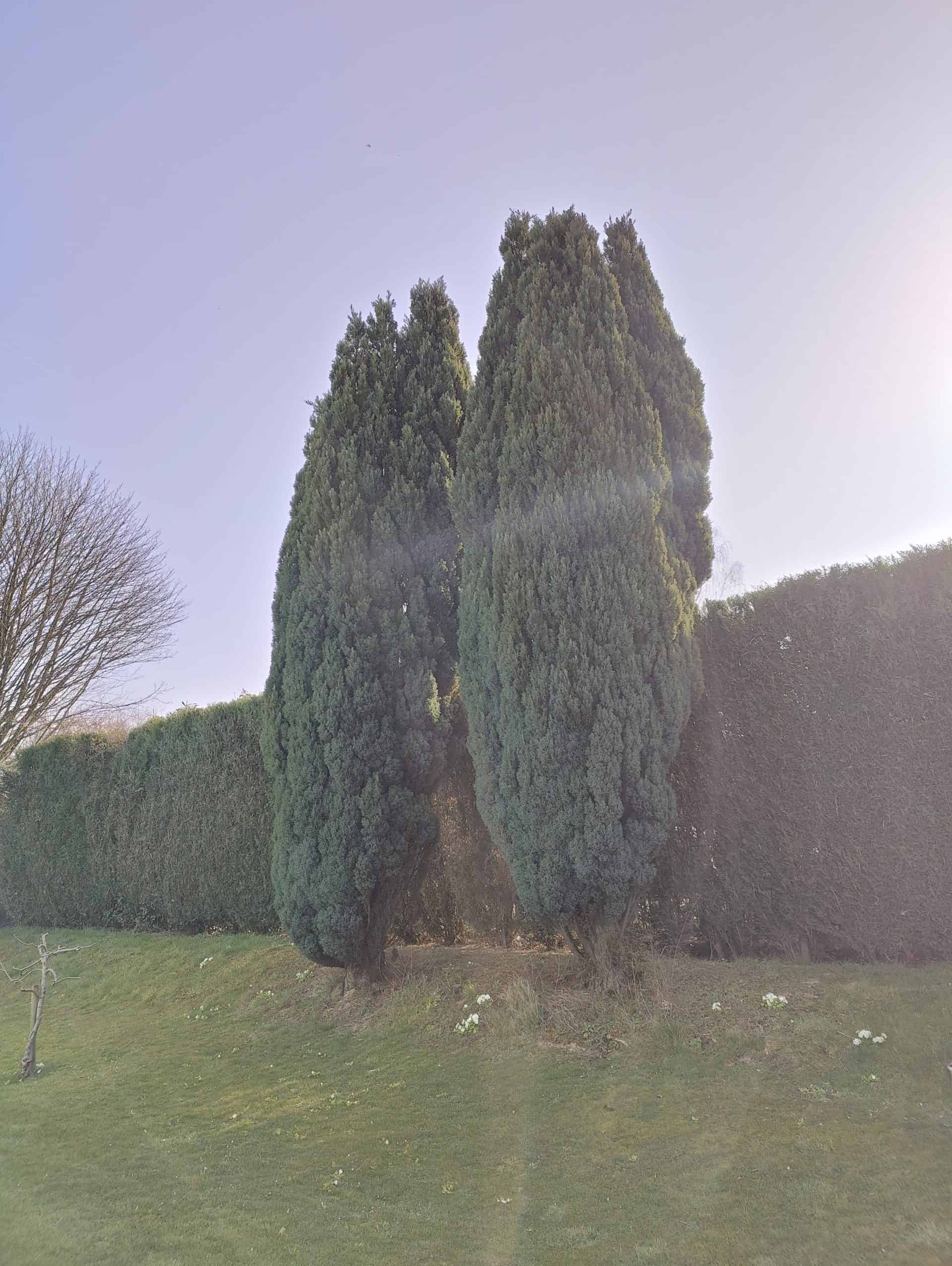 One Plus 10 Pro - Le soleil ne semble pas le gêner plus que ça