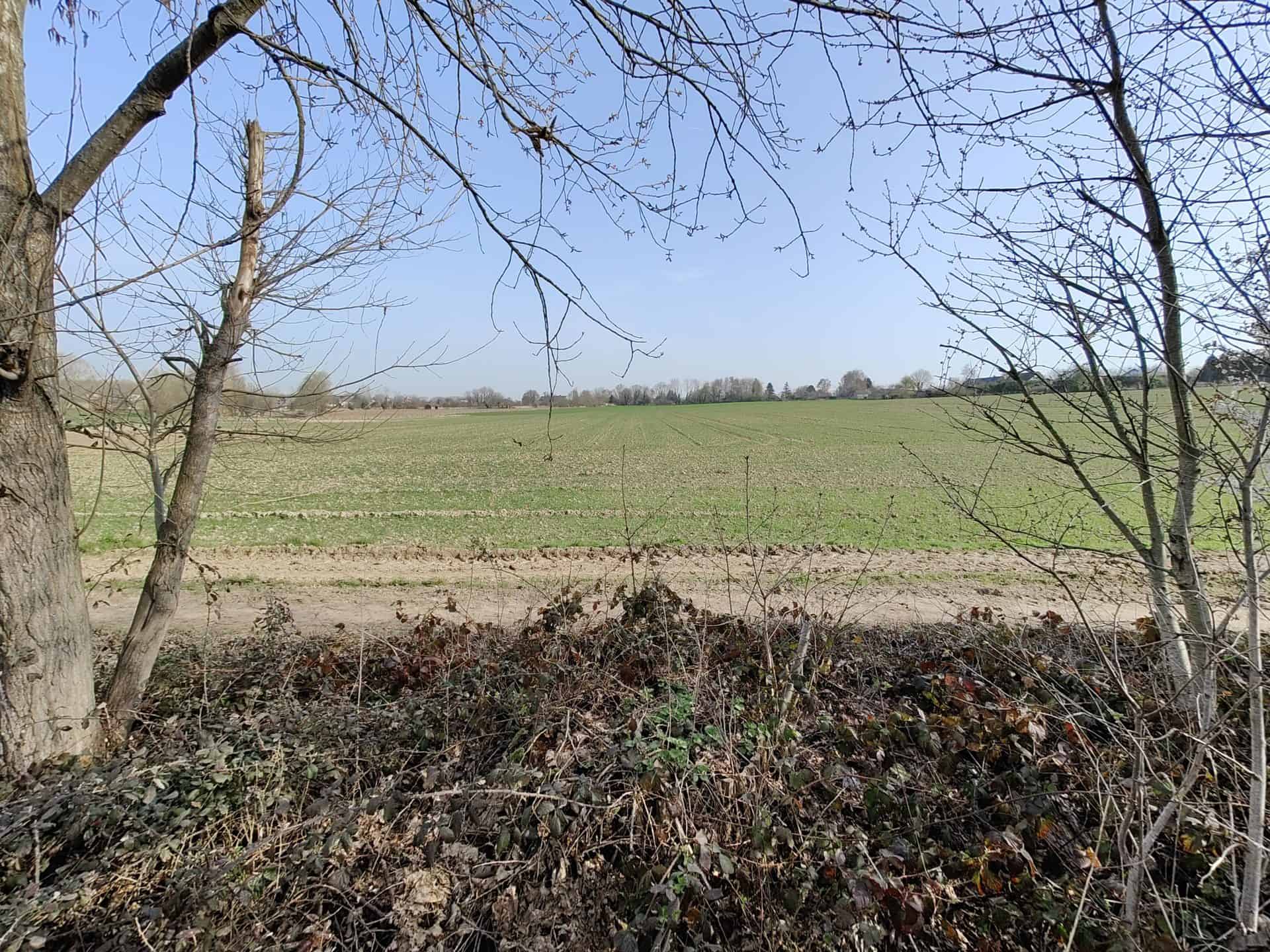 One Plus 10 Pro - Les champs x1