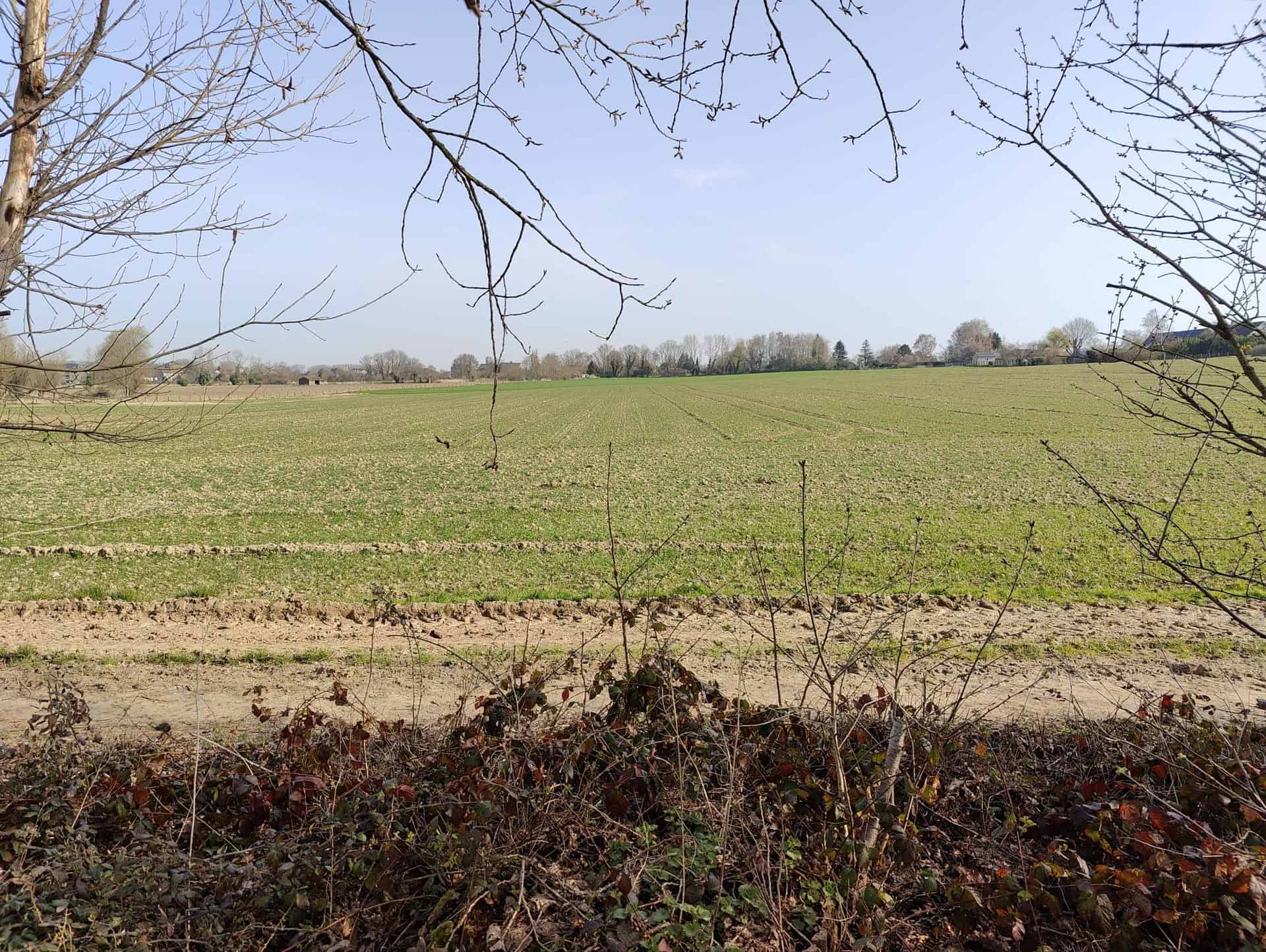 One Plus 10 Pro - Les champs X2