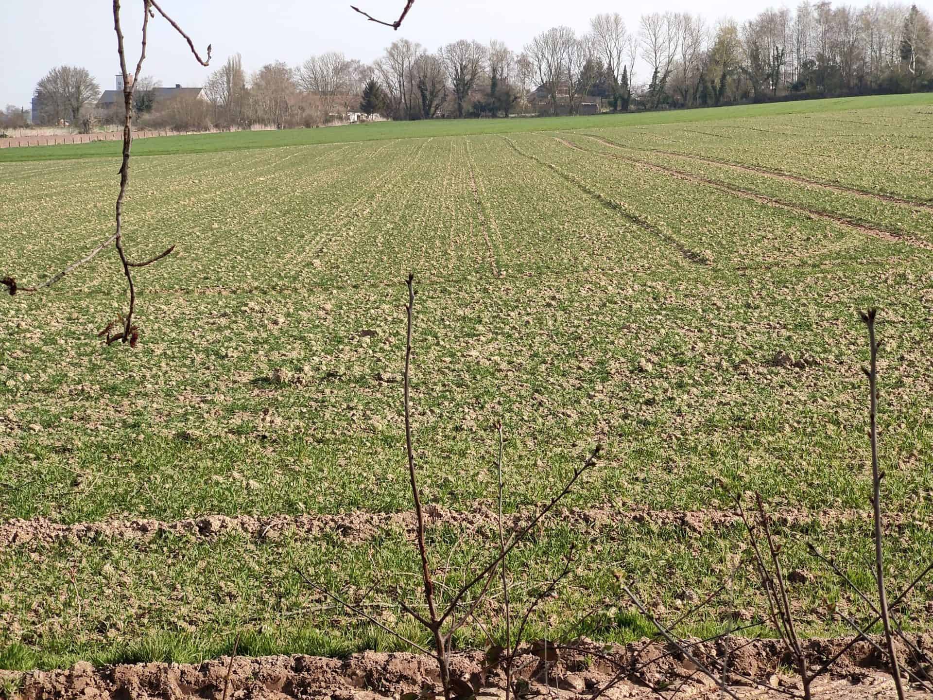 One Plus 10 Pro - Les champs X5