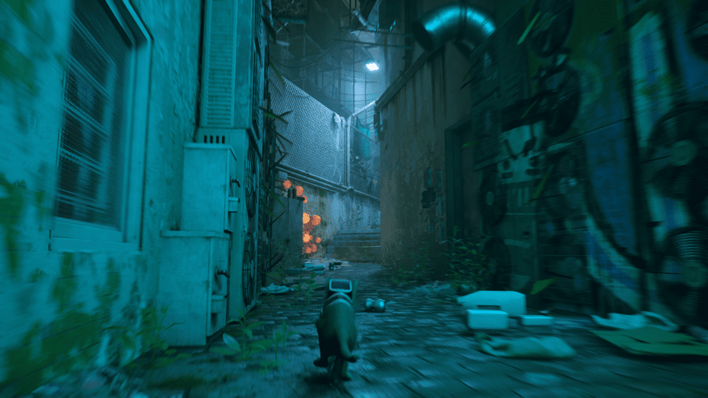 stray module sac à dos