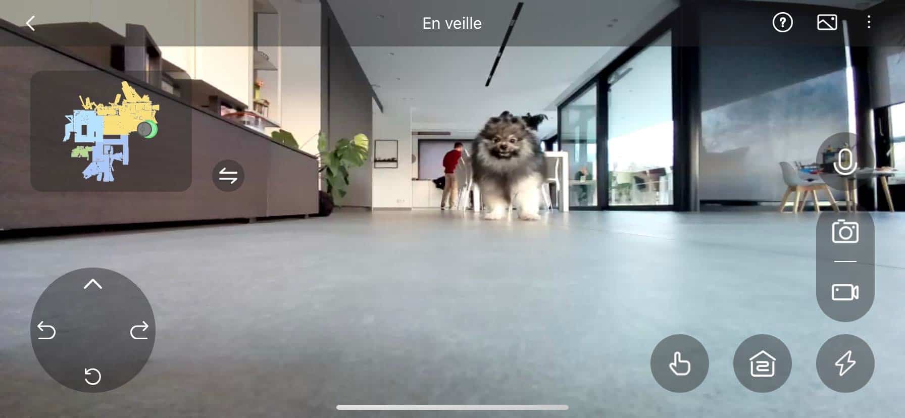 Dreame D10S Plus : le chien est intrigué !