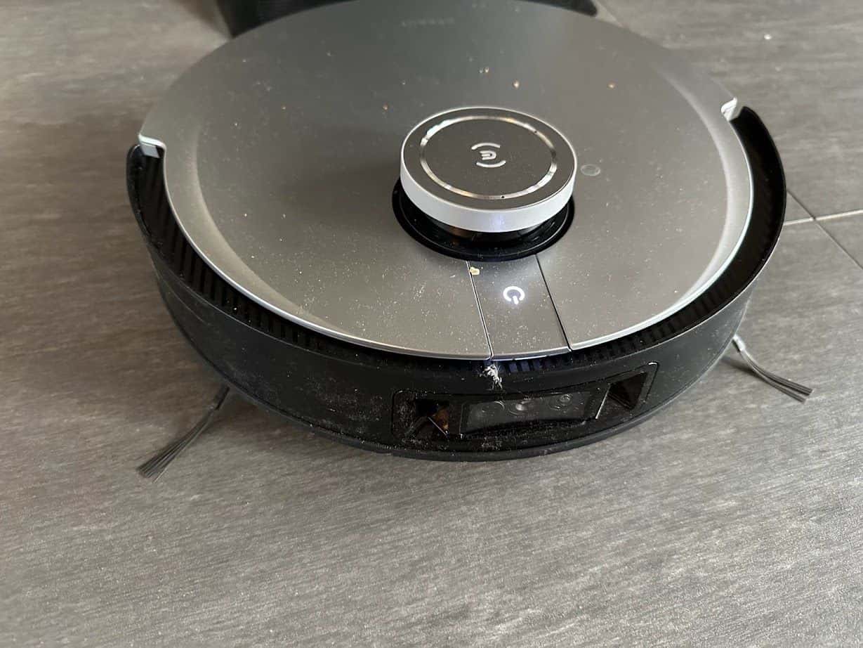 Parfois, il revient un peu sale comme votre chat !