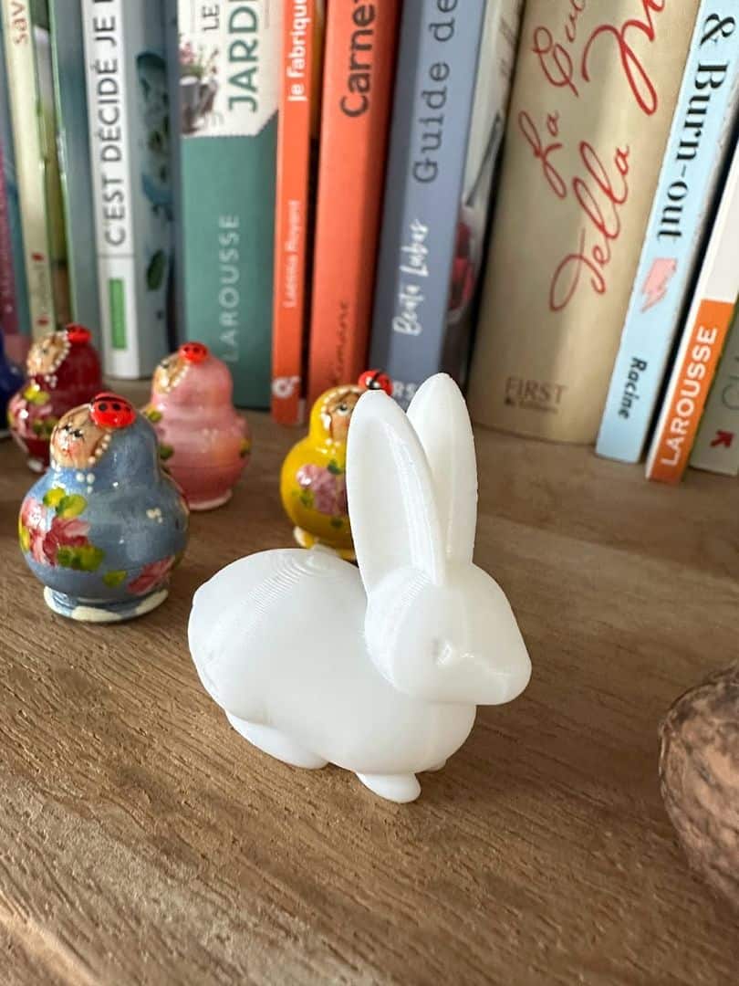 Le petit lapin inclus dans la carte SD qui sert de modèle de calibration