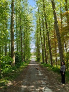 Une photo prise avec le Nothing Phone 3a