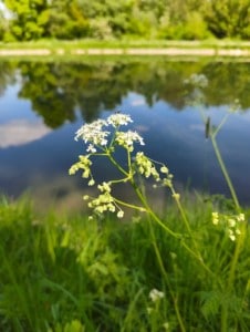 Une photo prise avec le Nothing Phone 3a