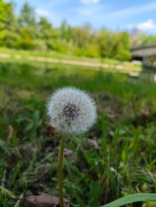 Une photo prise avec le Nothing Phone 3a