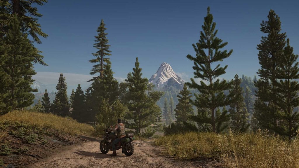 Une image du jeu Days Gone Remastered