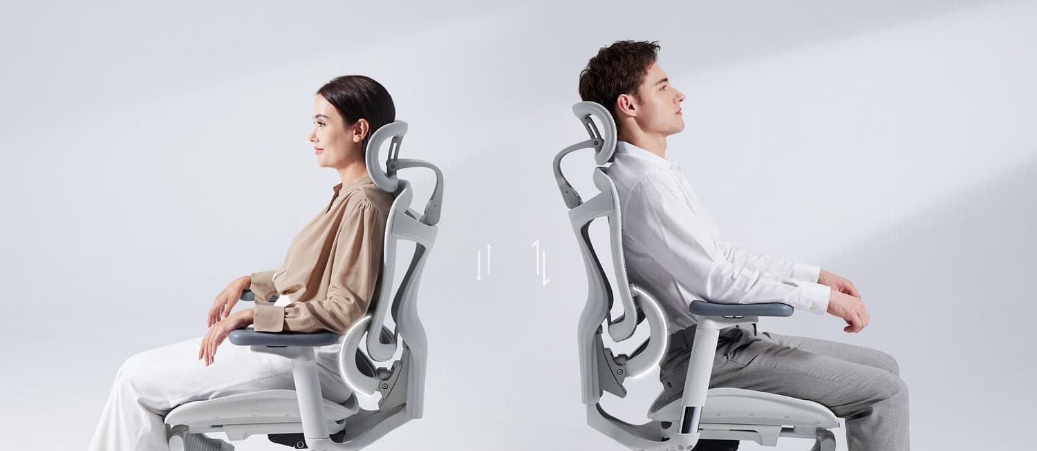 FR Sihoo Official Shop