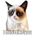 Grumpy Cat - je ne t'aime pas