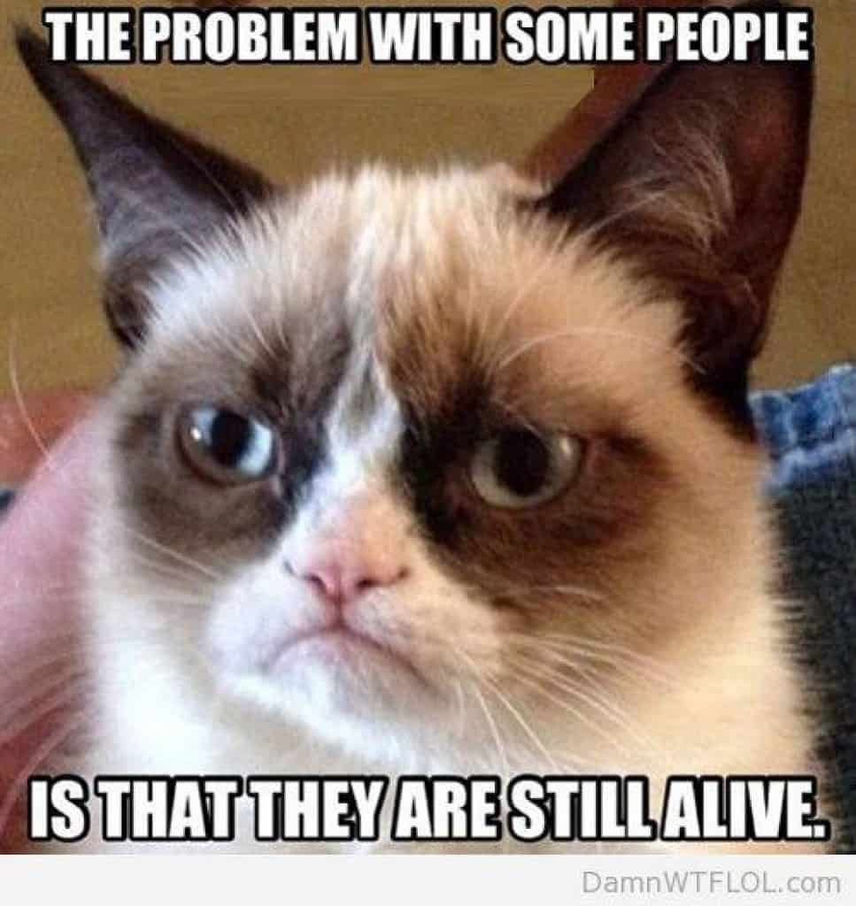 o-grumpy-cat-facebook-967x1024-1493877