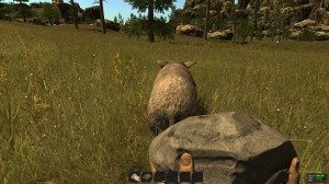 rust-guide-4-copy-300x168-9543708