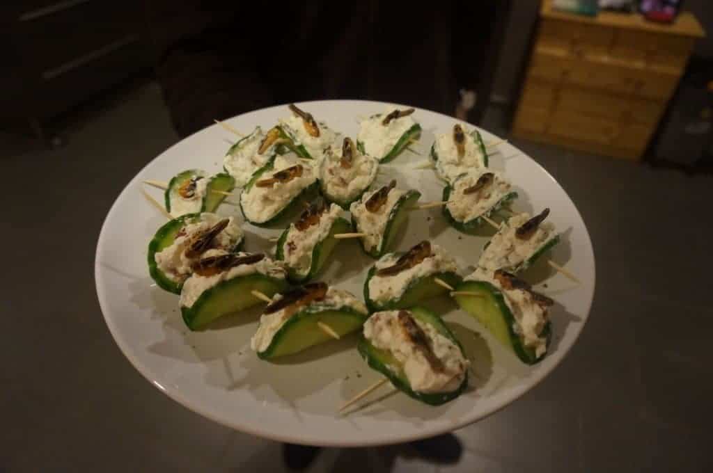 Manger des insectes - Des zakousksi sauterelle sur son lit de ricotta 