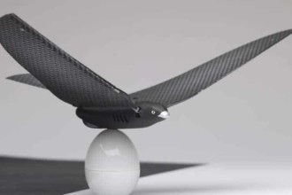 BionicBird