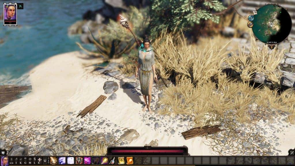 Divinity Original Sin 2