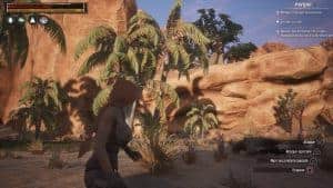 Conan Exiles