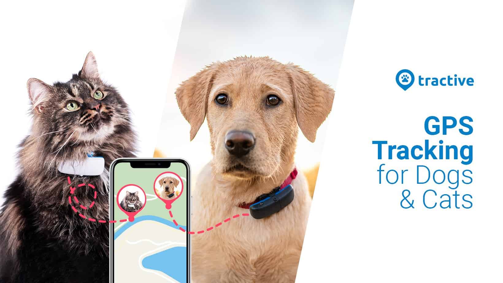 Tracker GPS de Tractive - Gardez toujours un oeil sur votre animal!