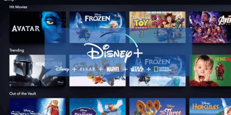 Abonnement Disney+ nombre abonnés