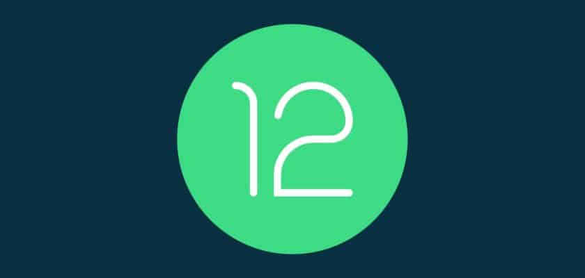Android 12 Logo