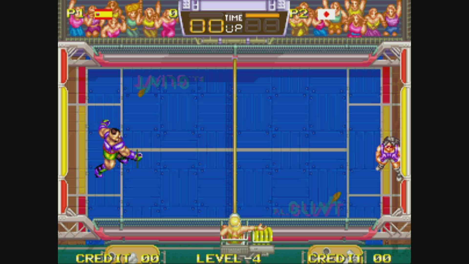 Windjammers surface