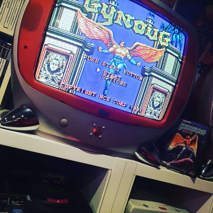 Gynoug Megadrive originale