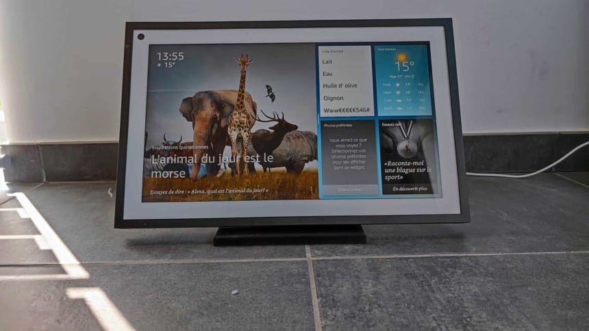 echo show 15