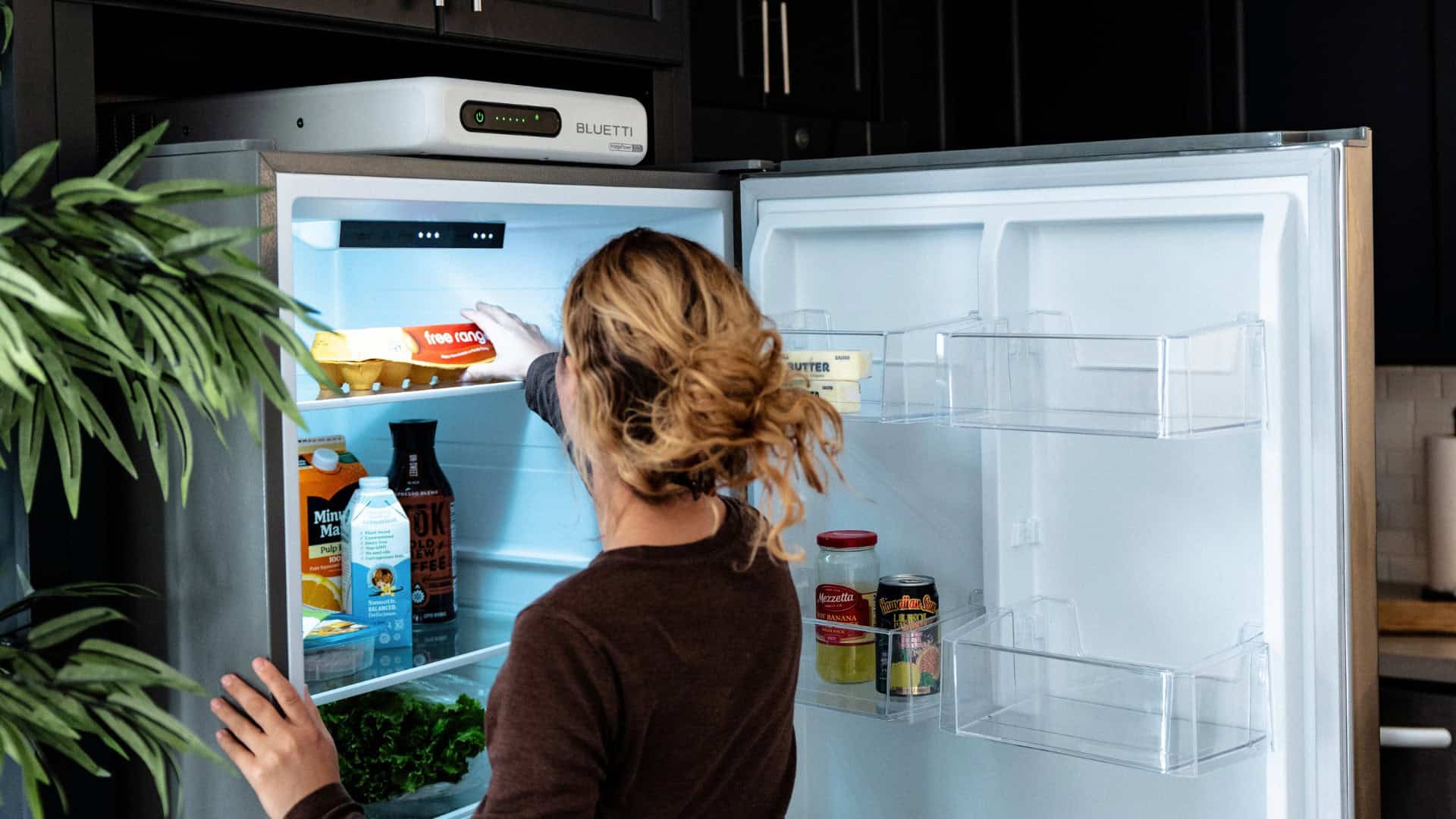 04 BLUETTI FridgePower