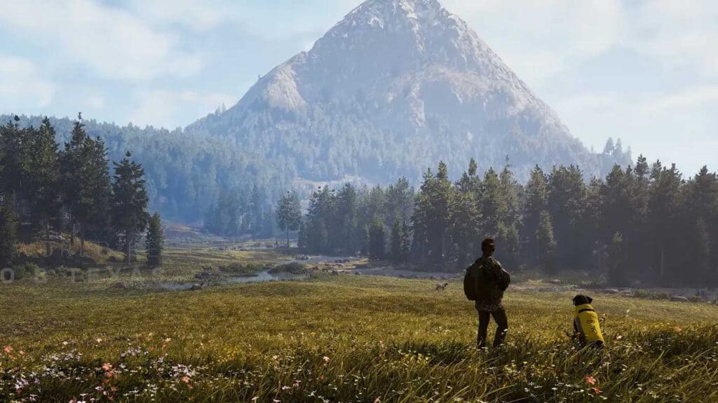 Des images du jeu vidéo Hunting Simulator 3