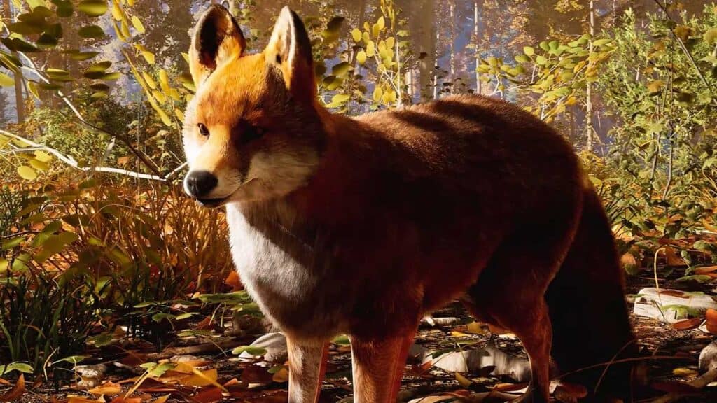 Des images du jeu vidéo Hunting Simulator 3